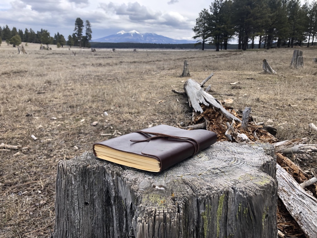 UNADJUSTEDNONRAW_thumb_43be